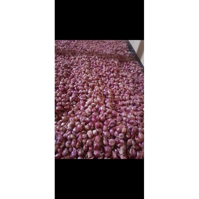 

bawang merah tanggung bawang merah probolinggo brambang super brambang 1kg