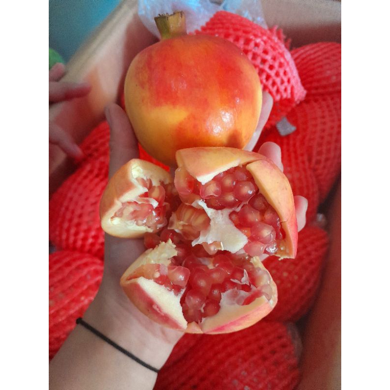 

delima RRC manis wendulita,fresh / 1biji
