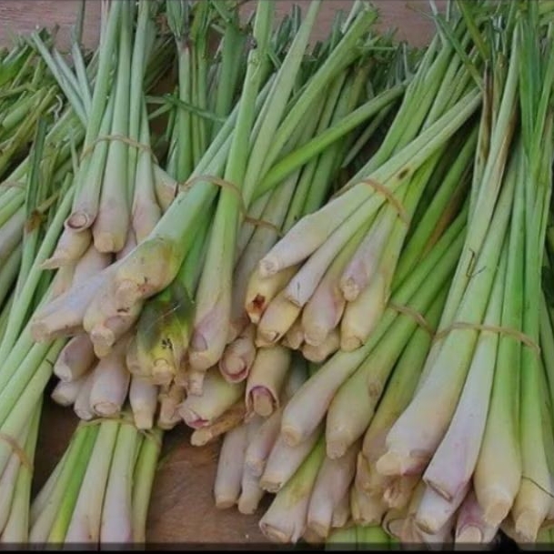 

serai untuk masak.500g