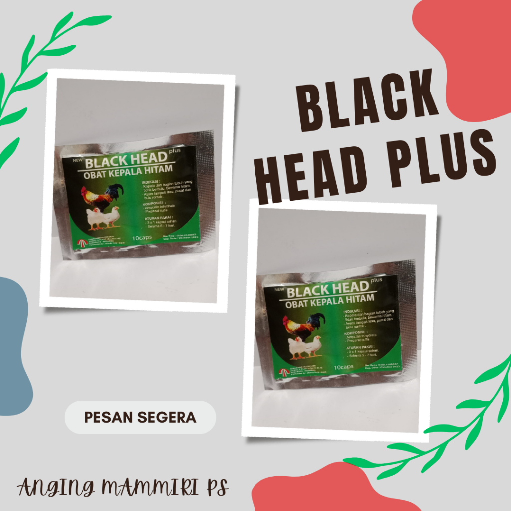 BLACK HEAD KAPSUL (10 KAPSUL - Obat Antibiotik Kepala Hitam Ayam Aduan Bangkok)