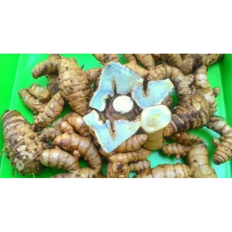

TEMU HITAM SUPER 1kg