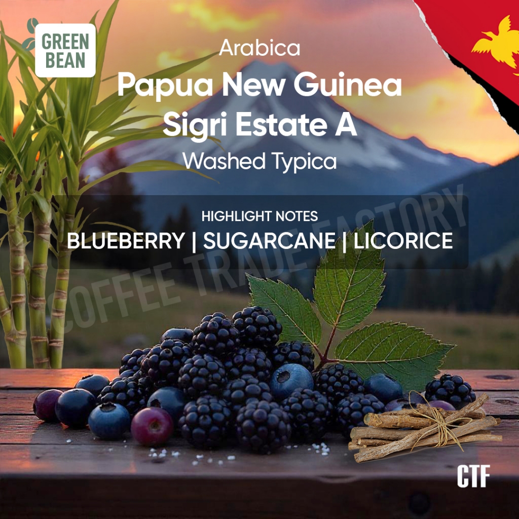 

Green Beans Arabika Papua New Guinea Estate A Fullwashed Dryhull Typica / Coffee Trade Factory CTF / Green Bean Arabica Biji kopi mentah full wash premium berkualitas greenbean specialty coffee