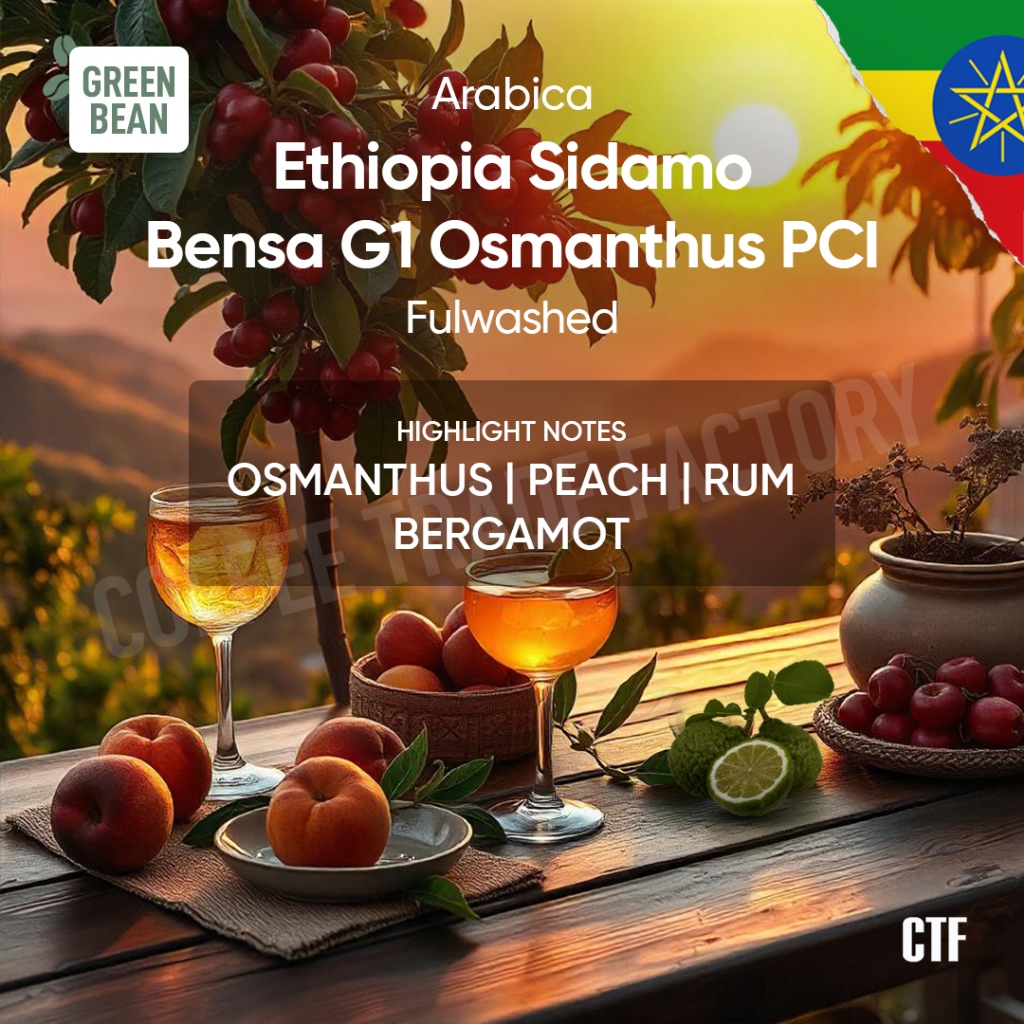 

Green Beans Arabika Ethiophia Sidamo Bensa Osmanthus Peach Cask Age Fermentation Natural Sun-Dried / Coffee Trade Factory CTF / Green Bean Arabica ethiopia etiopia Biji kopi mentah proses fermentasi premium berkualitas greenbean specialty coffee