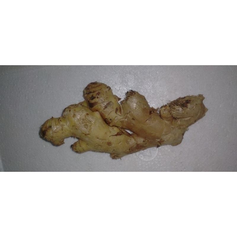 

JAHE 1kg