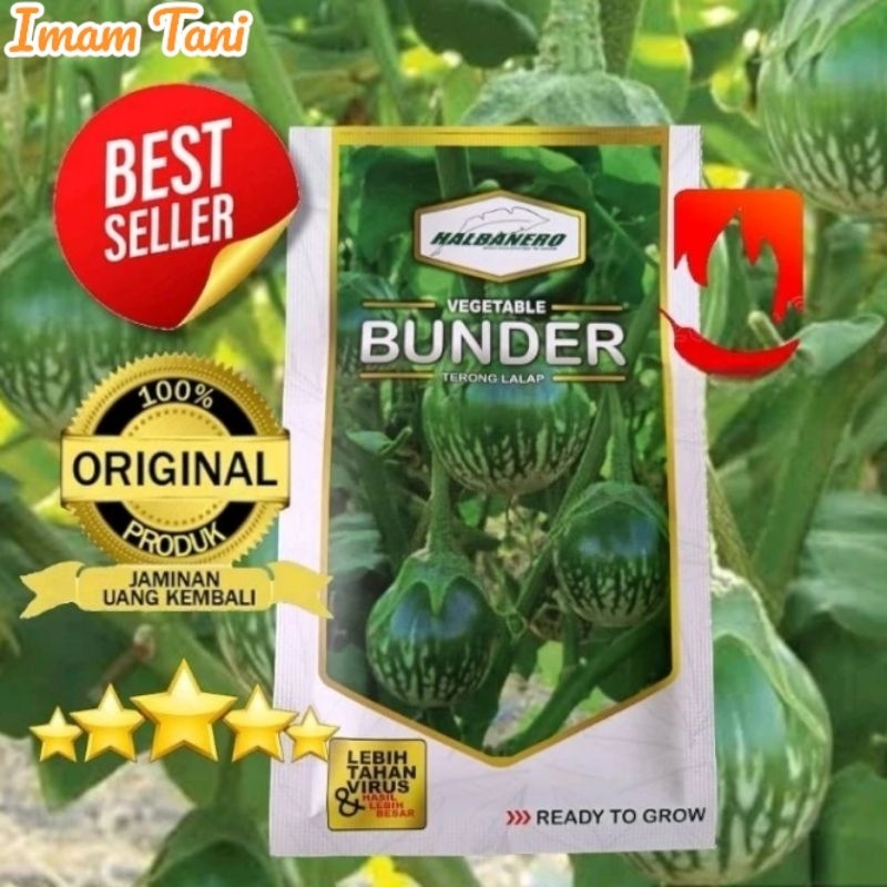 BENIH TERONG LALAP BUNDER 10GRM HALBANERO LEBIH TAHAN VIRUS