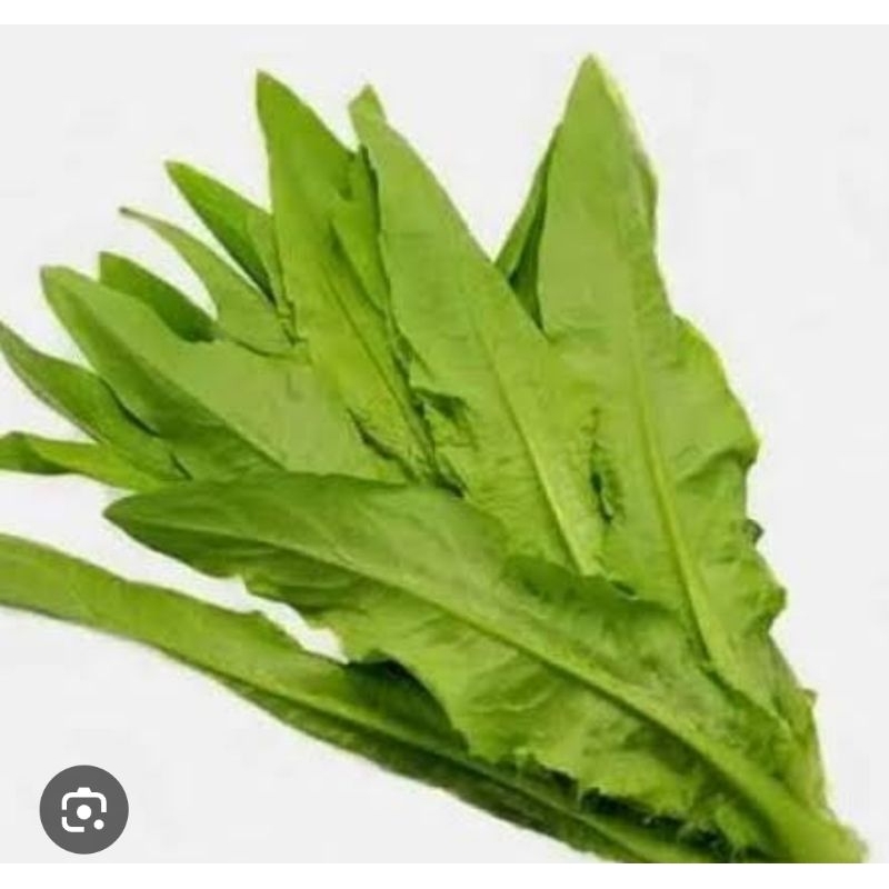 

Siomak