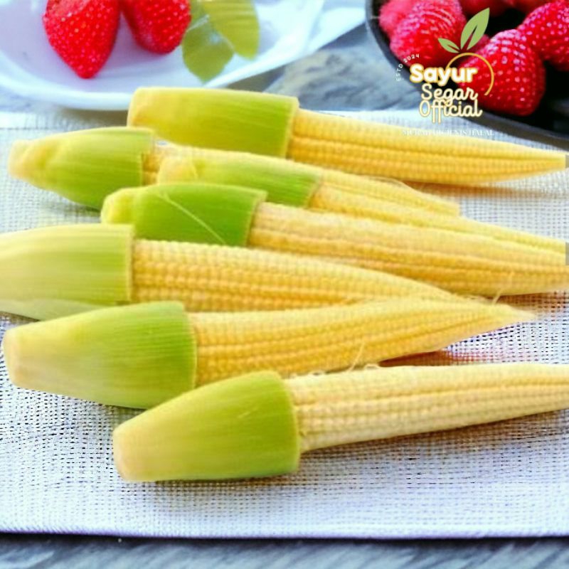 

Jagung Muda / Putren 100gr / 250gr