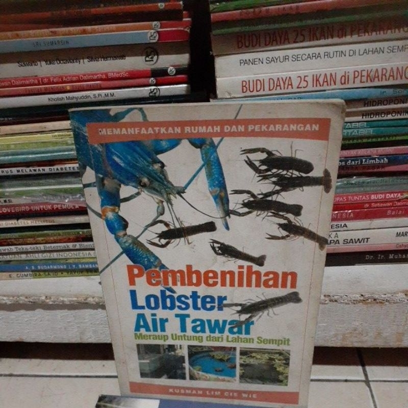 pembenihan lobster air tawar  meraup untung dr lahan sempit