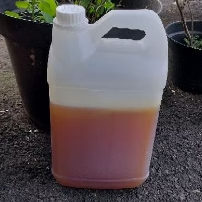 

Madu Hutan Sialang Premium Curah 5kg