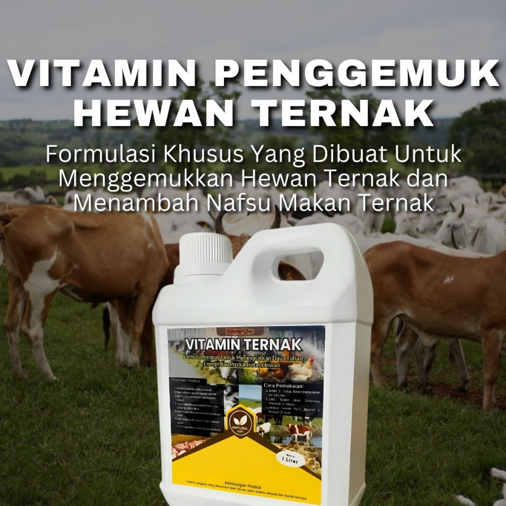 Vitamin penggemuk Sapi  paling ampuh Booster Sapi cepat besar gemuk Sehat Vitamin Sapi cepat gemuk