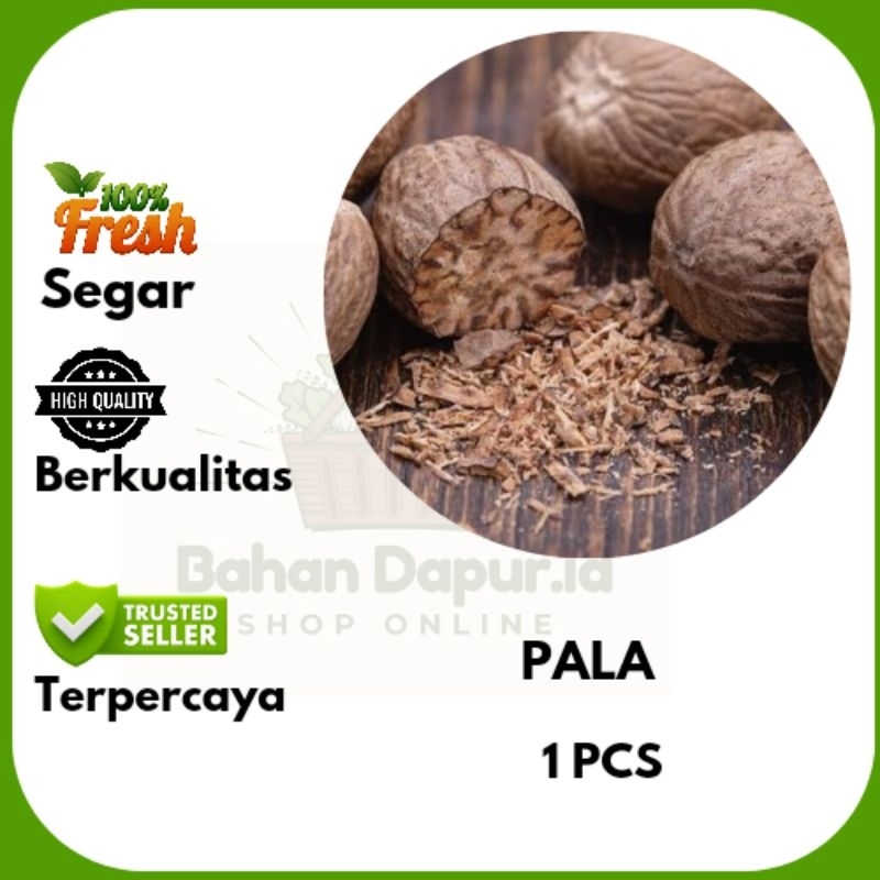 

PALA | 1 PCS | Bahan Dapur .id