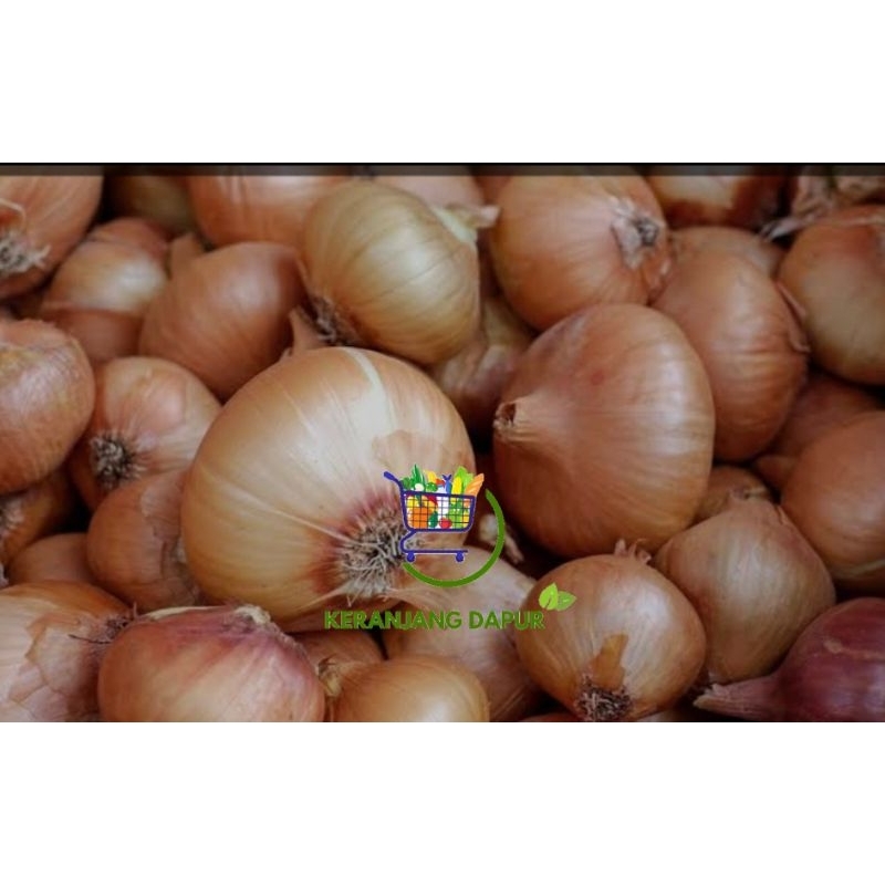 

Bawang bombay 500gram