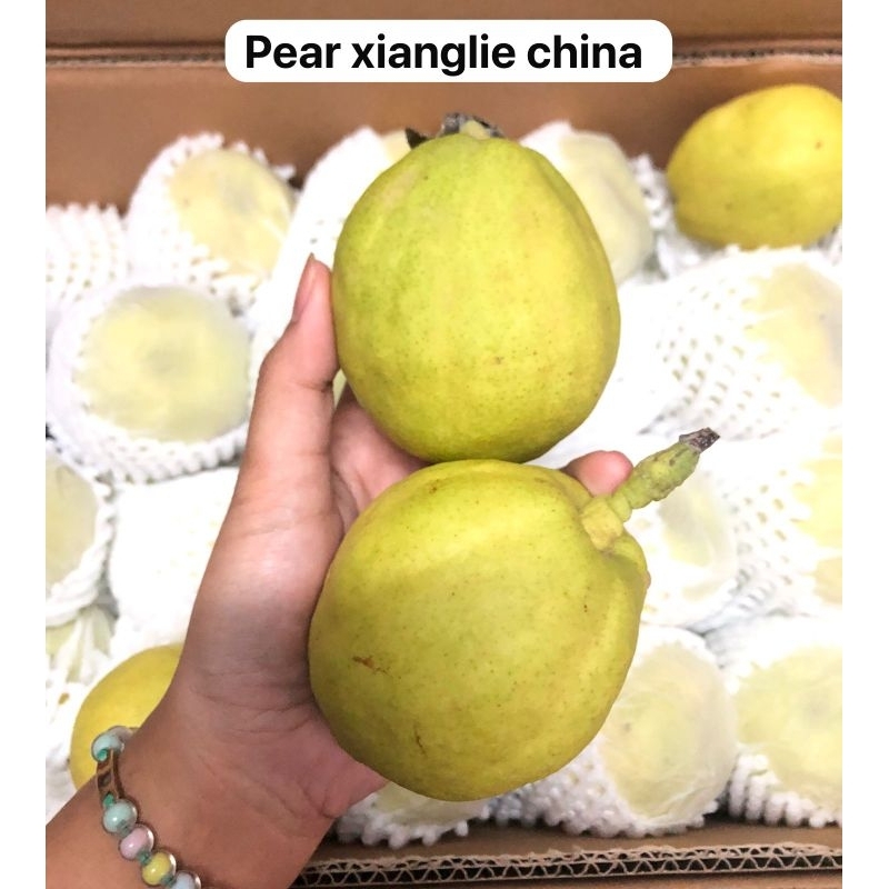 

pear xianglie China /kg