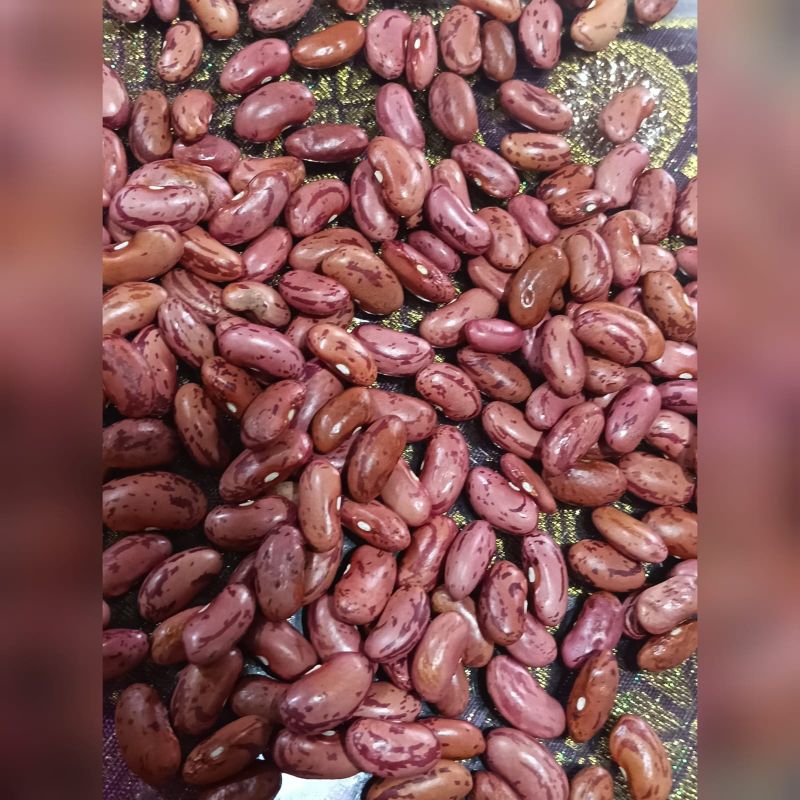 

kacang merah / kacang es/kacang jogo kering 500gr