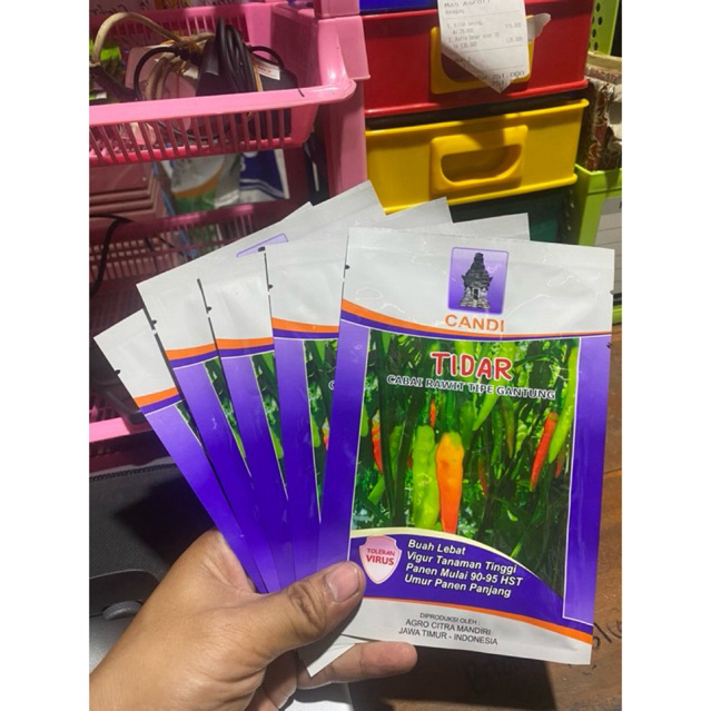 TIDAR Benih Cabai Rawit Type Gantung