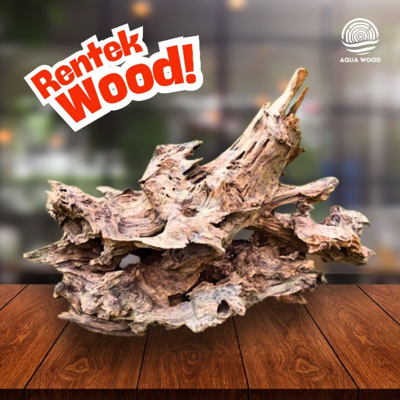 Kayu Rantek Aquascape Murah size XL
