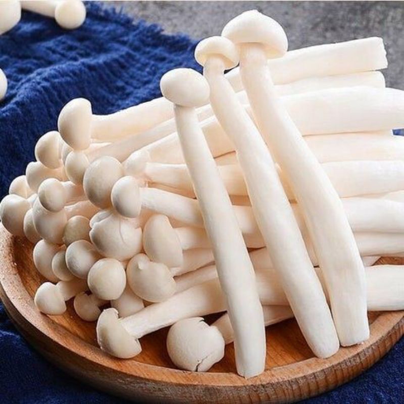 

Jamur Shimeji Putih/Coklat 150 gr