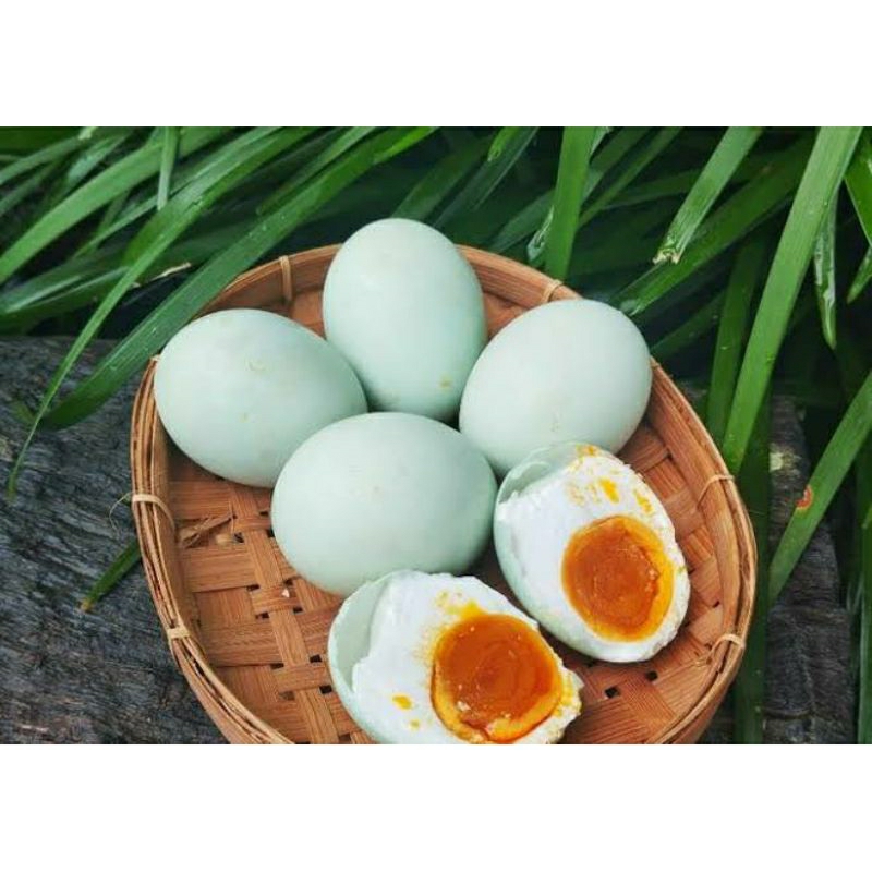 

RECOMENDED ISI 5 Telur Asin omega3 termurah [MATANG]