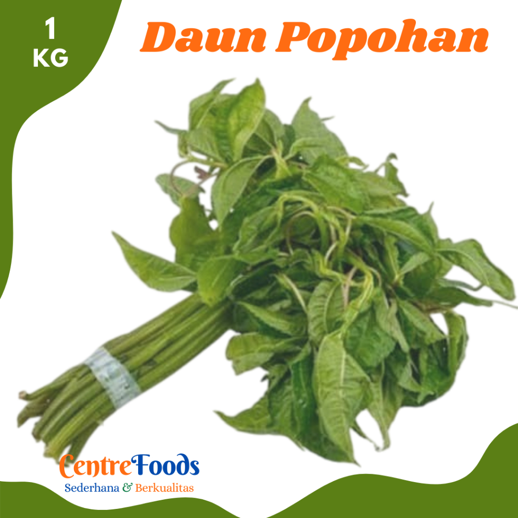 

DAUN Popohan - Pohpohan Leaves Fresh | 1.000gr [ Harga Per KG ]