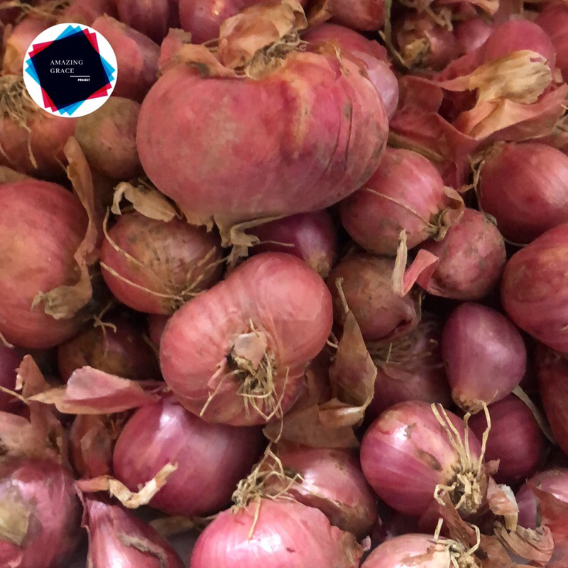 

Ready Makassar - Bawang Merah Besar Enrekang
