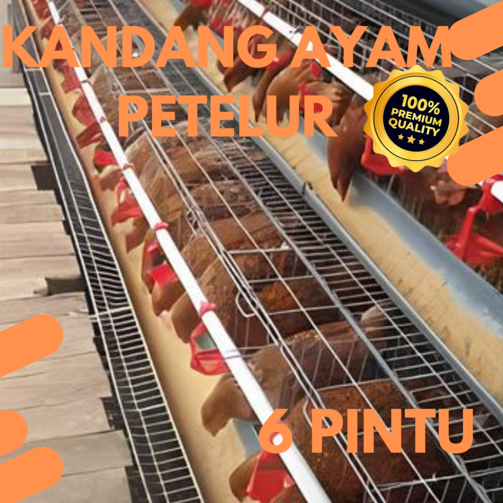 Kandang Ayam Petelur 6 Pintu