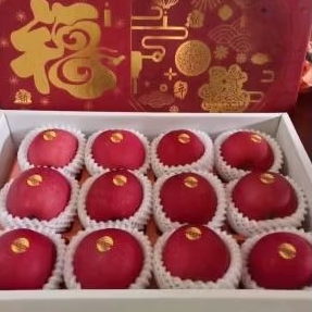 

GIFTAX APEL ISI 12 KEMASAN ISTIMEWA