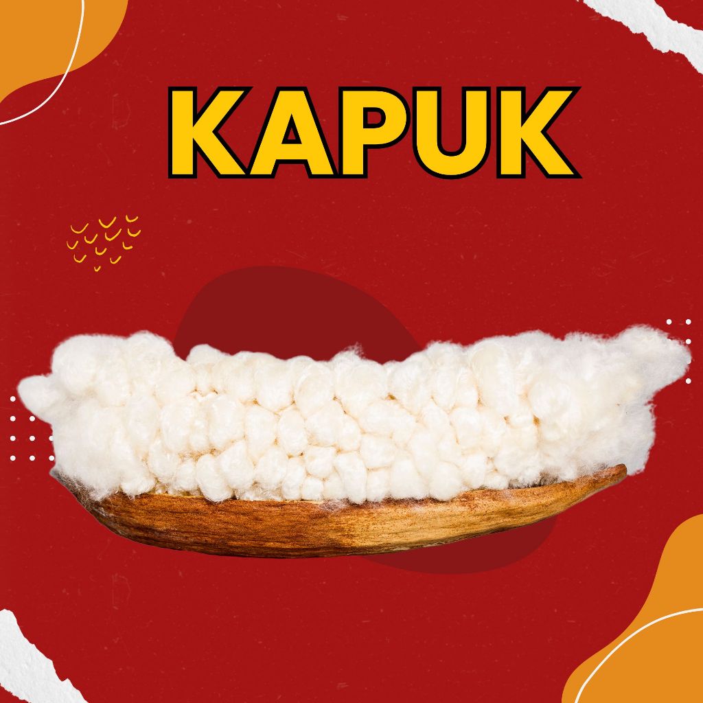 KAPUK / RANDU / KAPAS KAPUK