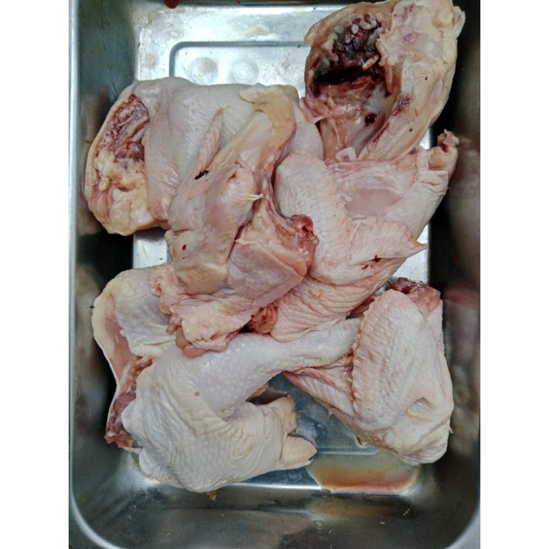 

daging ayam tege ayam kecil mang sayur
