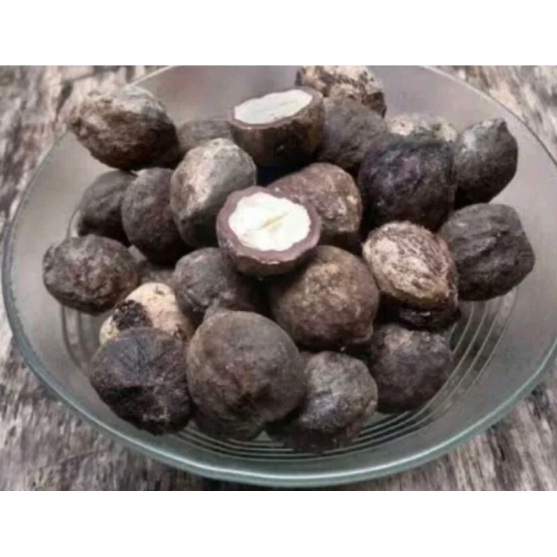 

buah kemiri dengan batok