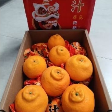 

Buah Jeruk Dekopon 1 dus