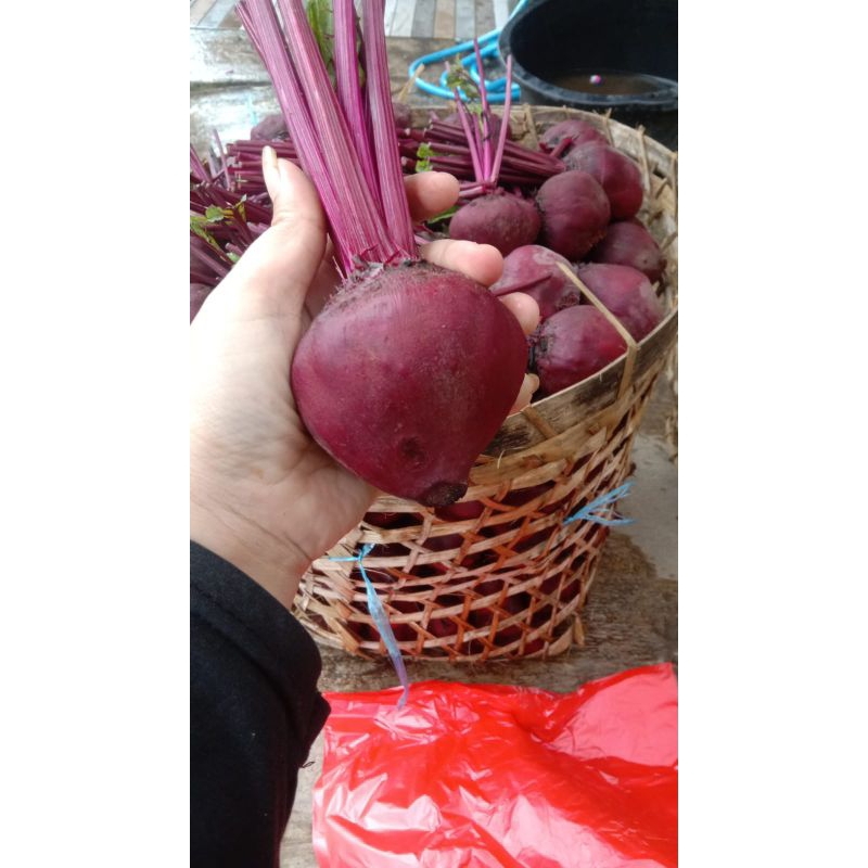 

BUAH BIT PROMO, BEETROOT FRESH 1KG