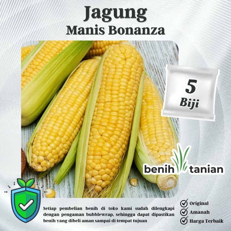 5 Biji Benih Jagung Manis Bonanza Bibit Jagung Unggul Cap Panah Merah