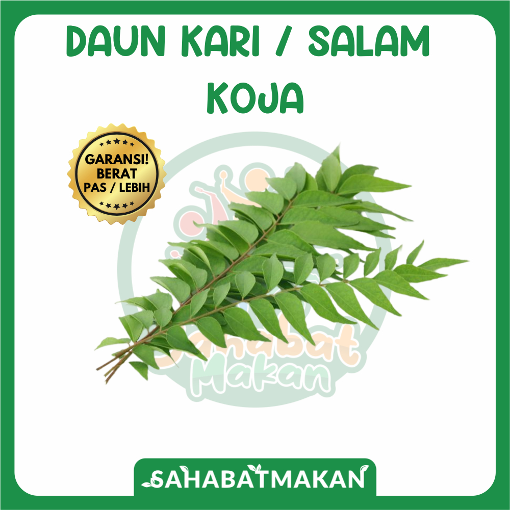 

Daun Kari / Salam Koja — Sahabat Makan Sayur Jogja