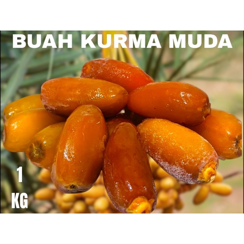 

Kurma Muda Ruthob 1 Kg Organic Kurma Mentah Manis Pahit