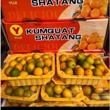 

Buah Jeruk Kimkit Madu YujiPack jual per 1 Dus Karton