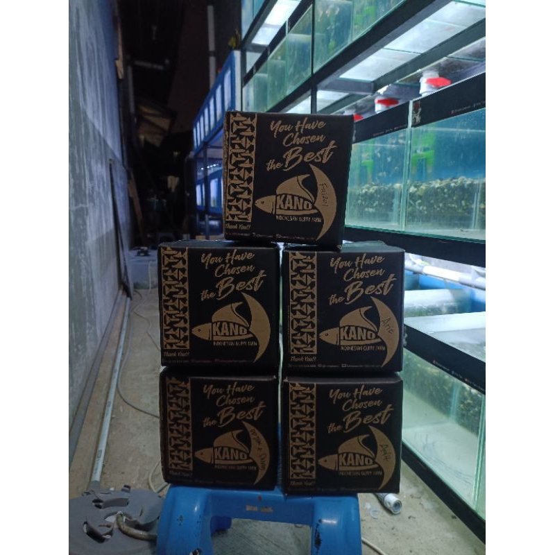 

Kardus Packing + Sterofoam WAJIB untuk garansi DoA
