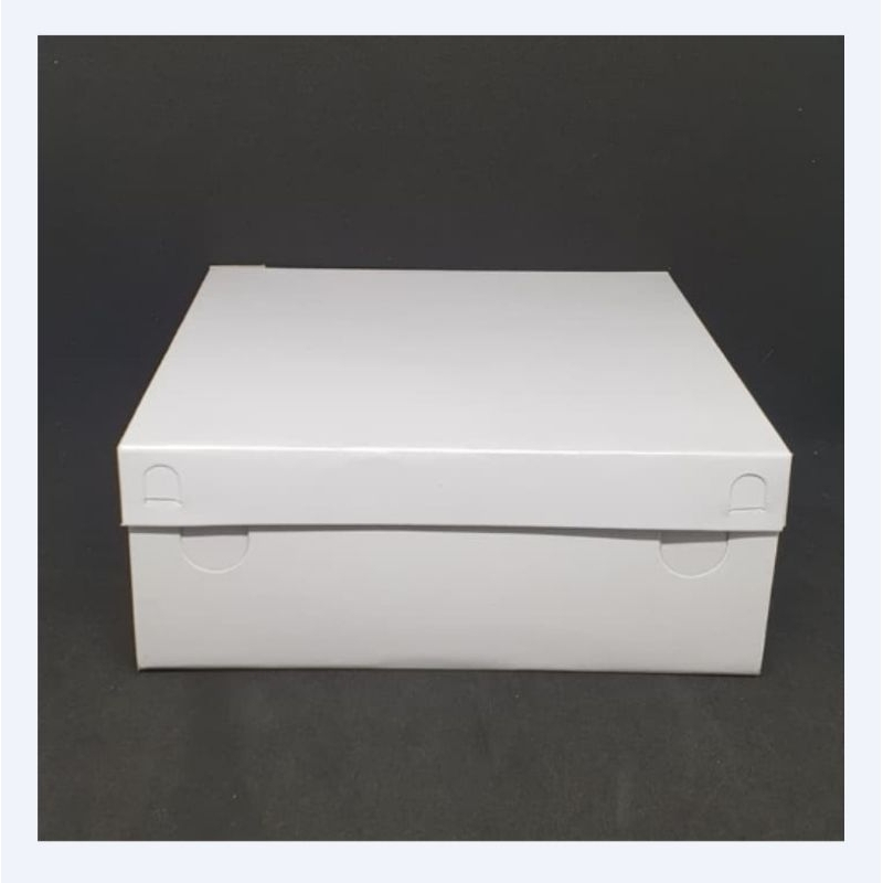 

dus / kotak nasi polos pisah tutup 20x20 isi 50 pcs