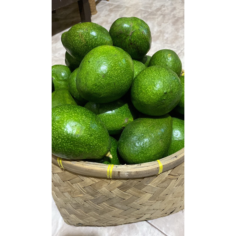 

Alpukat Mentega 1 kg - isi 2-3 dan 4-5 buah