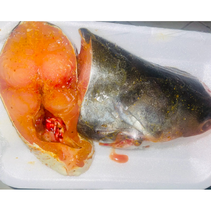 

ikan patin segar mini pack