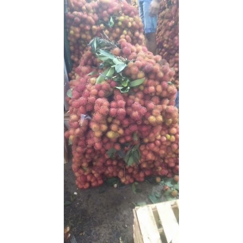 

rambutan manis