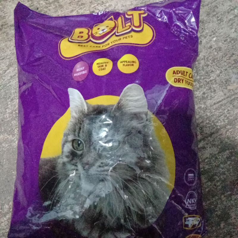 PUR KUCING BESAR 1PCS