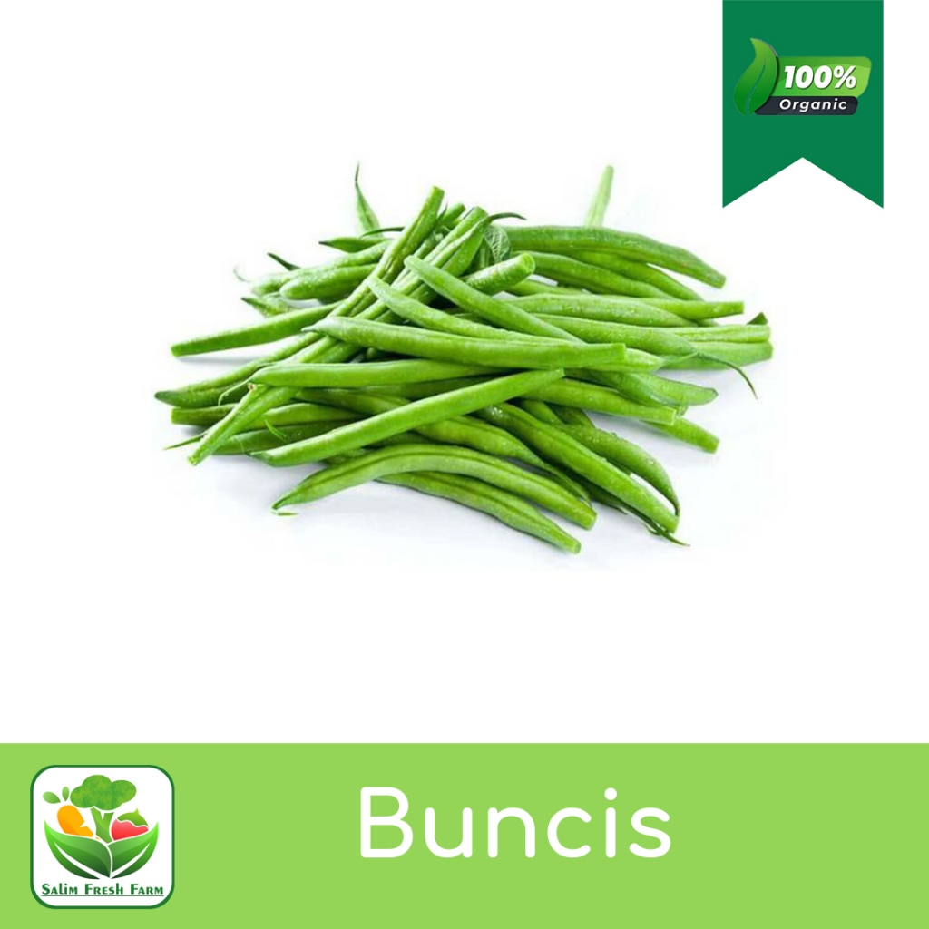 

Buncis segar/Buncis hijau/Buncis 1 kg