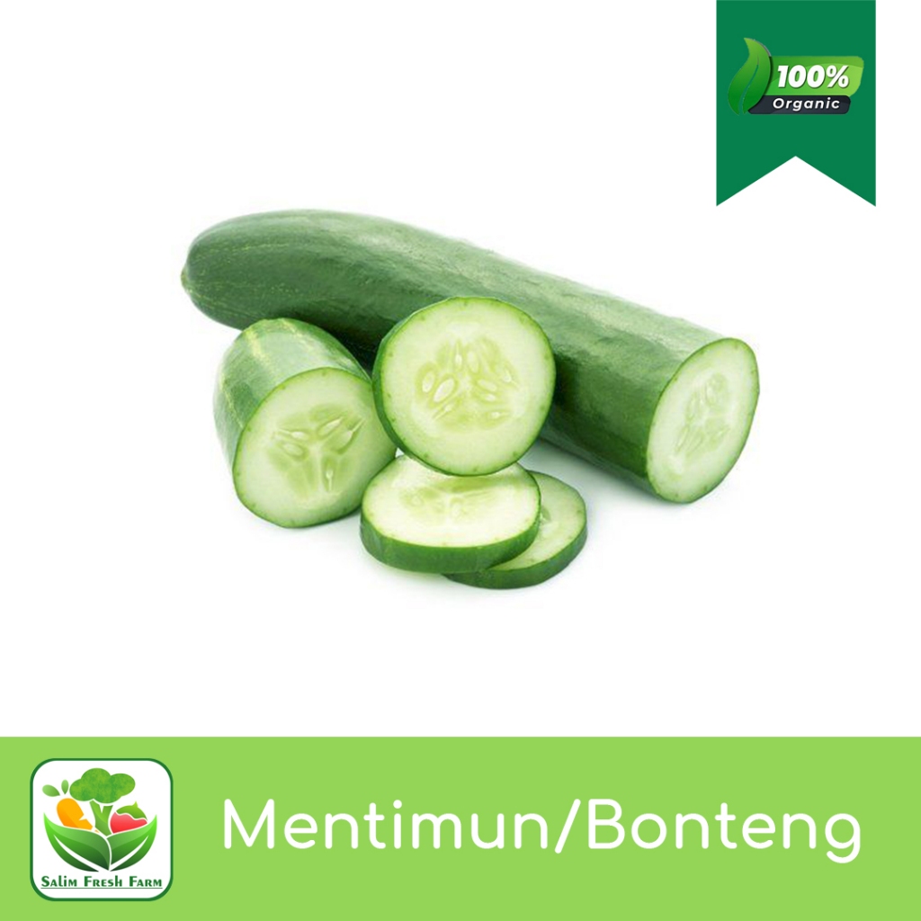 

Mentimun segar/Mentimun 1kg/Mentimun lalap/Timun/Timun lalap/Bonteng timun/Bonteng