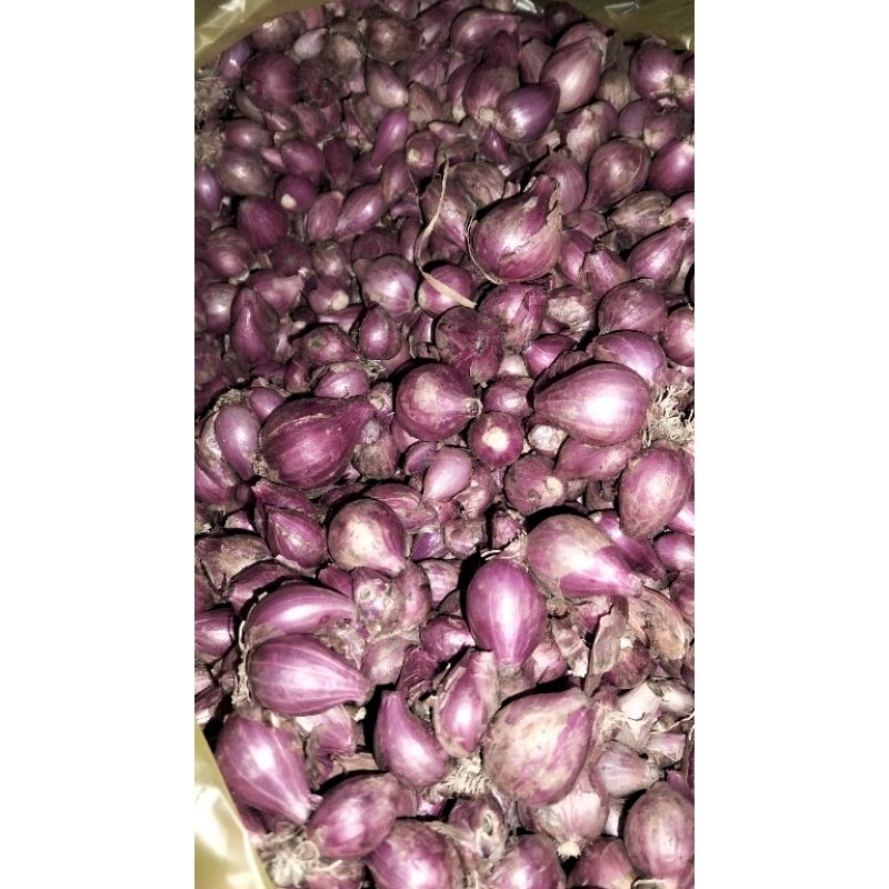 

bawang merah Probolinggo 1 Kg