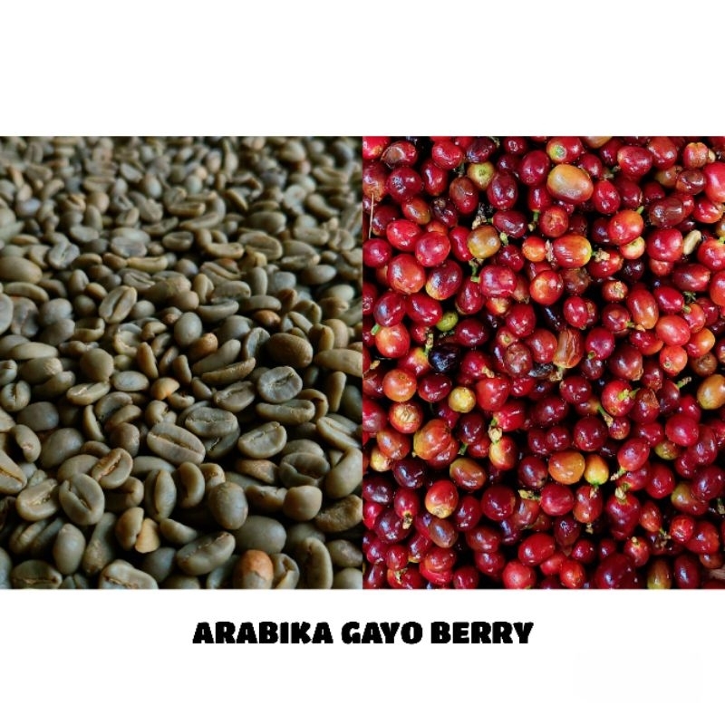 

Sunda Wangi | Green Beans Kopi Arabika Gayo Red Berry - 1Kg (GRATIS ONGKIR)