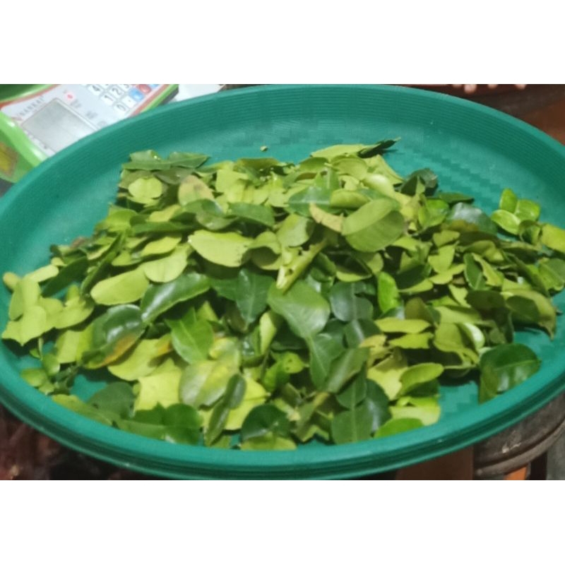 

DAUN JERUK PURUT 25gr