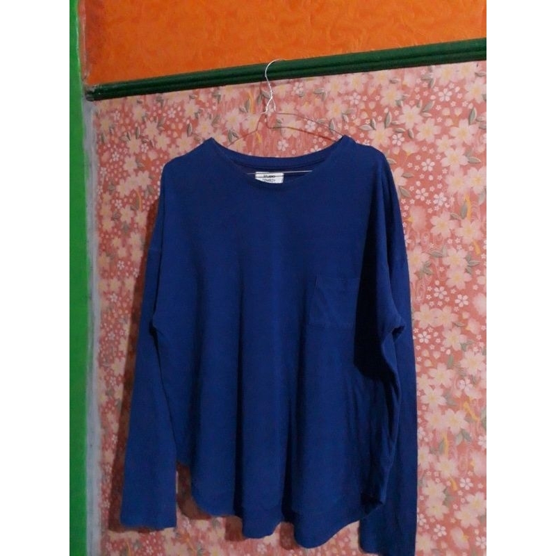 STUDIO TOMBOY Atasan impor korea warna biru model pingwin warna turun ada bolong setitik