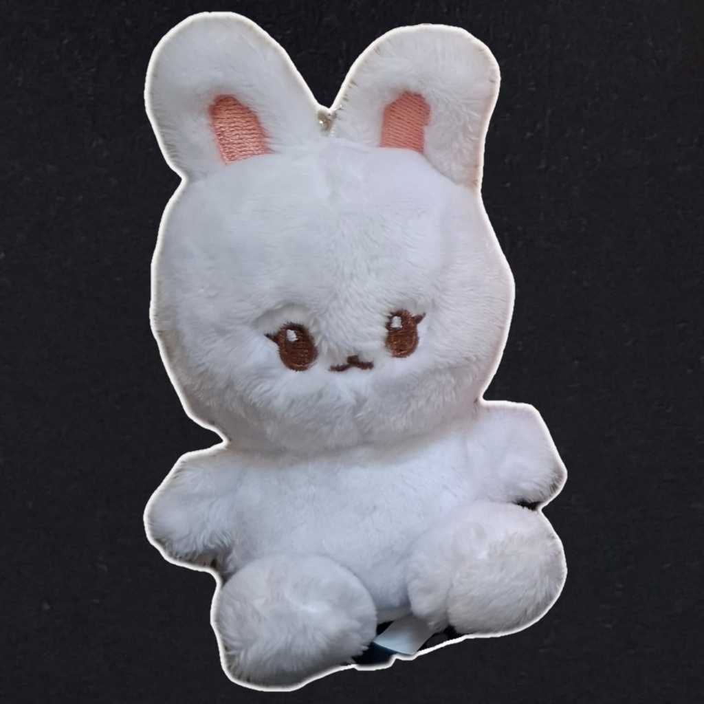 doll nct dream jaemin 10cm little pocketjaem