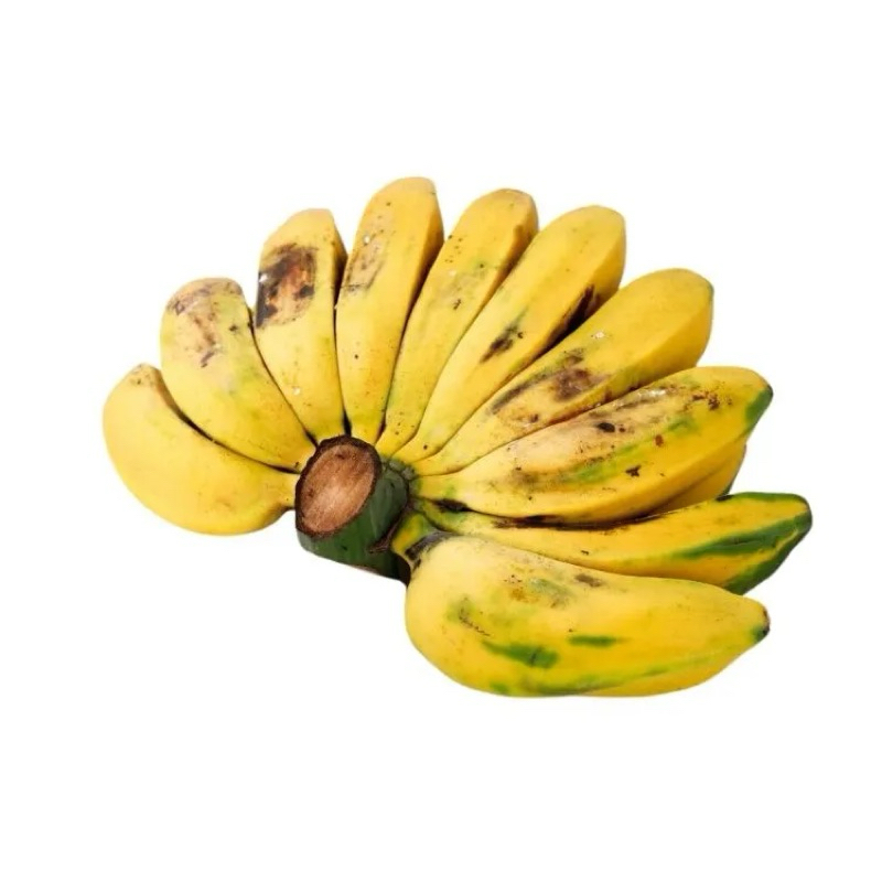 

Pisang kepok