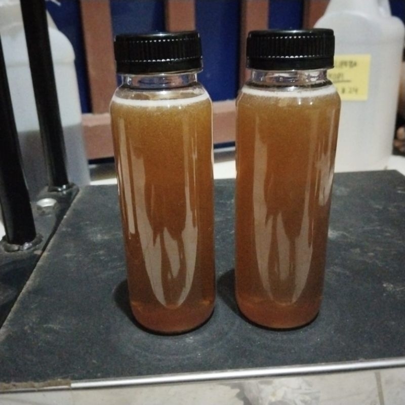 

Madu tawon madu lebah asli dan murni